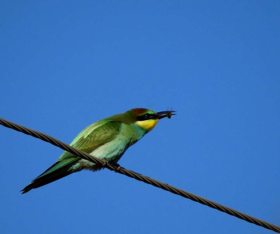 ������� ����� �����  �� PhotoGeek.ru #�������� ��� #����� ��� ��� ���������