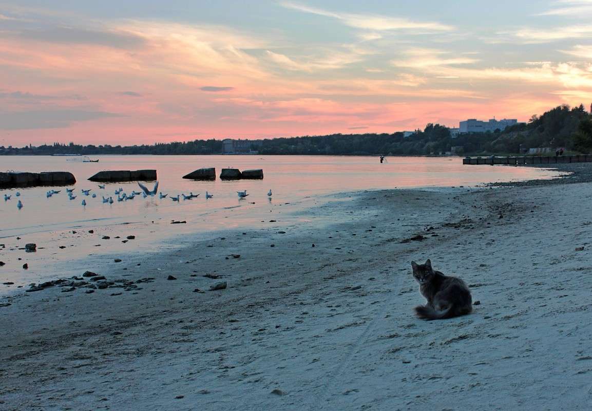 � ������ ���������� �� �����... ����� �����  �� PhotoGeek.ru #������ ��� �������