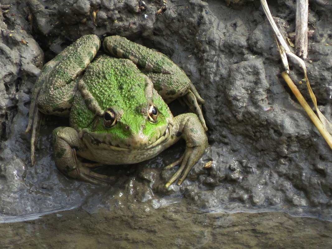 ������� ����� �����  �� PhotoGeek.ru #�������� ��� #����� ��� ��� ���������