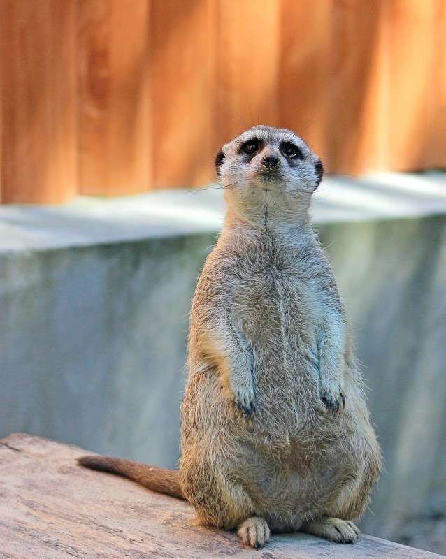 ����� ��������� ����� �����  �� PhotoGeek.ru #�������� ��� #����� ��� ��� ���������