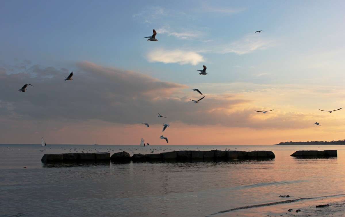 �� ����� ����� �����  �� PhotoGeek.ru #������ ��� �������