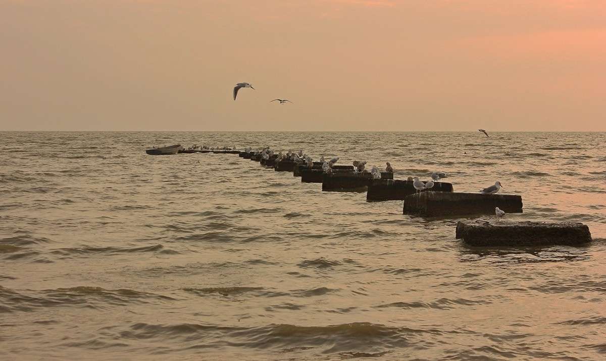 ��������.. ����� �����  �� PhotoGeek.ru #�������� ��� #������ ��� �������