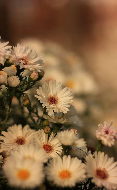 ������� ����� ����� �����  �� PhotoGeek.ru #������ ��� �������