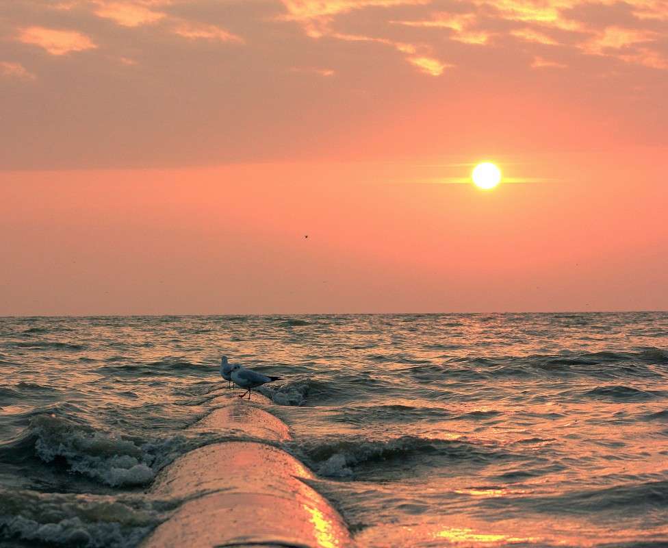 ����� ���� ����� �����  �� PhotoGeek.ru #������ ��� �������