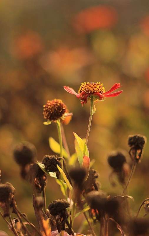 ���������.. ����� �����  �� PhotoGeek.ru #������ ��� �������