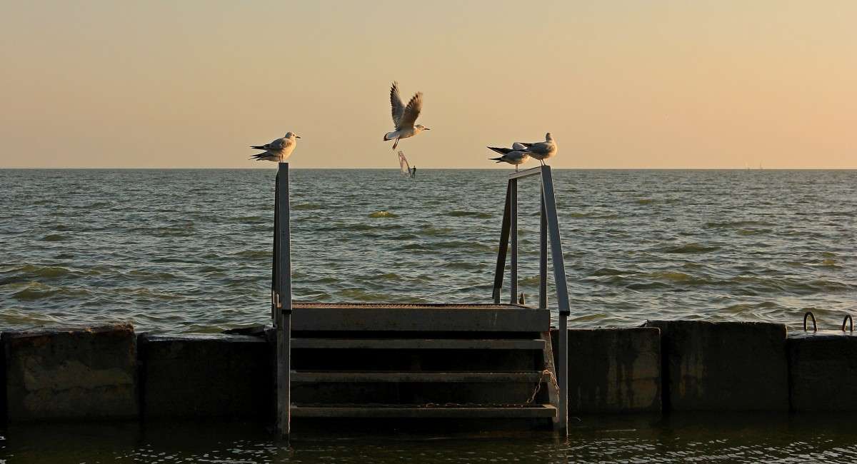 ������ ����� �������� 2 ����� �����  �� PhotoGeek.ru #������ ��� �������