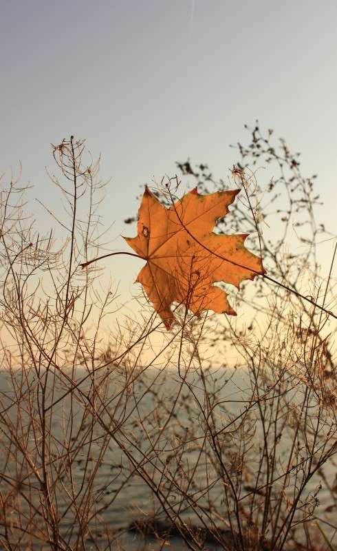 ... ����� �����  �� PhotoGeek.ru #������ ��� �������