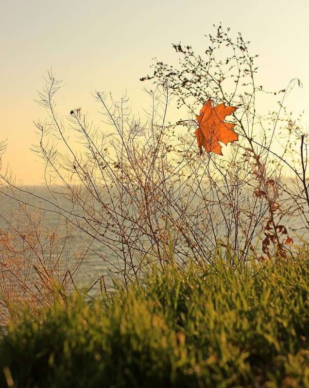 ������� ���� ����� �����  �� PhotoGeek.ru #������ ��� �������