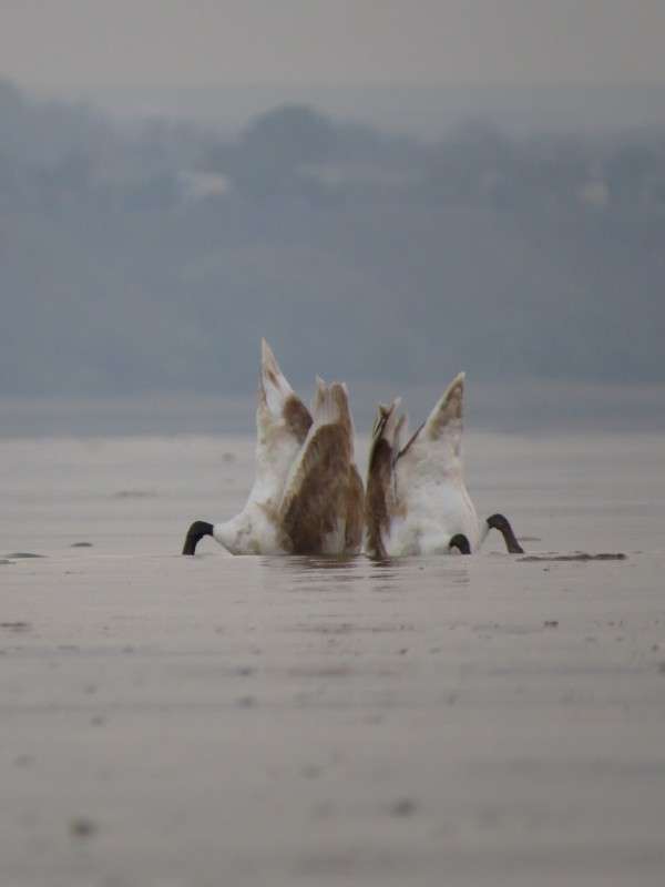 ))) ����� �����  �� PhotoGeek.ru #�������� ��� #����� ��� ��� ���������