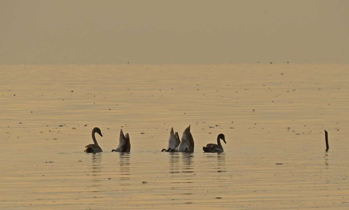 ���������� �����������) ����� �����  �� PhotoGeek.ru #�������� ��� #����� ��� ��� ���������