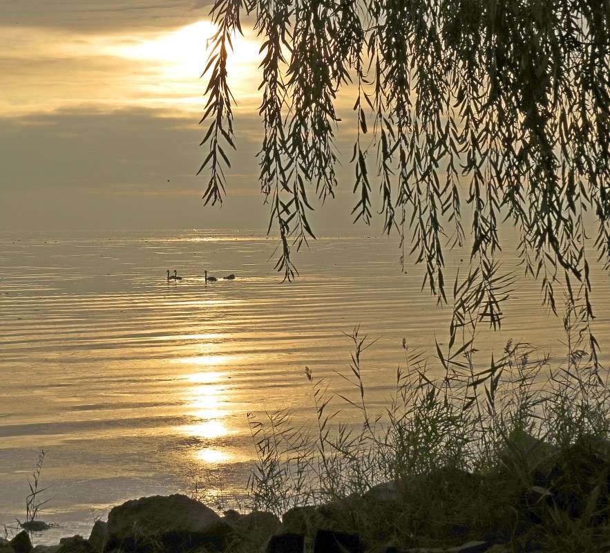 � ������ ����� �����  �� PhotoGeek.ru #�������� ��� #������ ��� ������� #����� ��� ��� ��������� #����� �������������� #���������