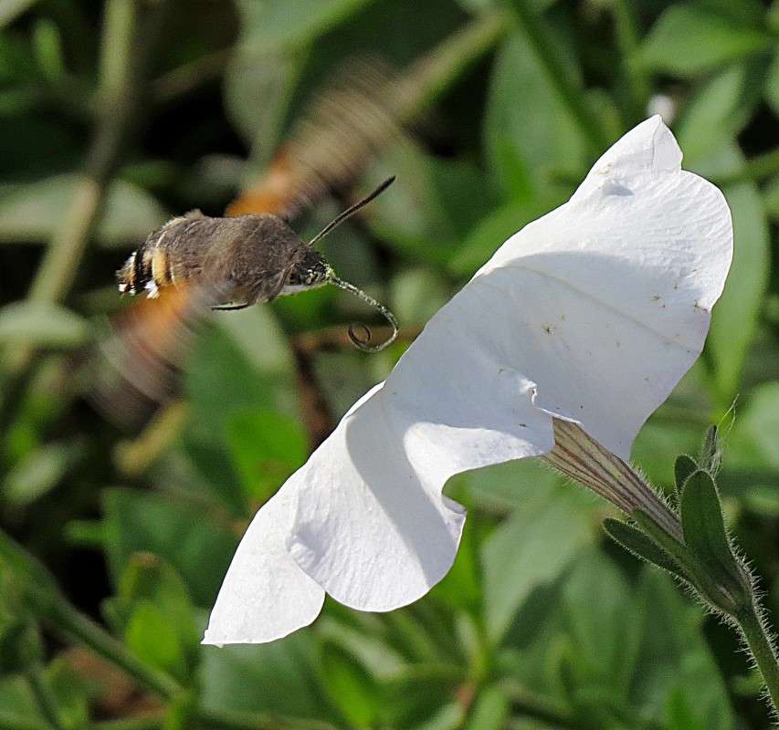 ������� ����� �����  �� PhotoGeek.ru #�������� ��� #����� ��� ��� ���������