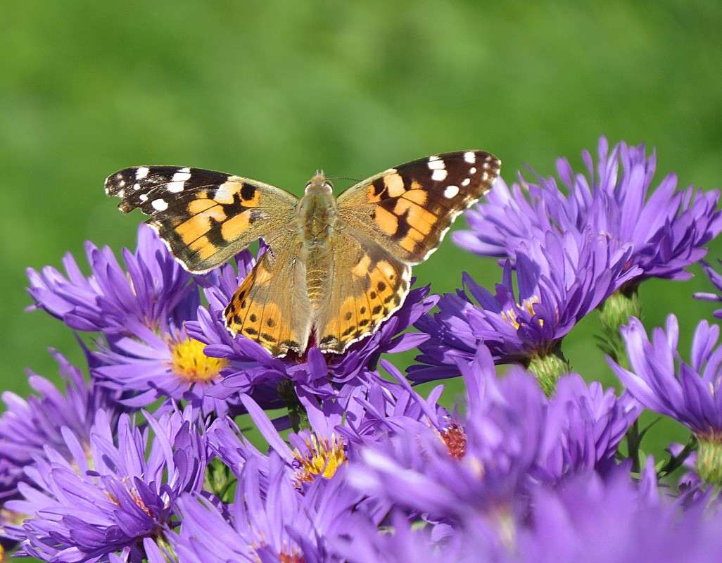 ��������� ������� ����� ����.. ����� �����  �� PhotoGeek.ru #������ ��� �������