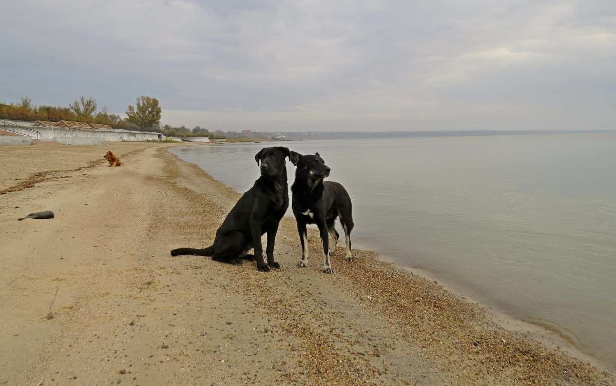 ������ ����� �����  �� PhotoGeek.ru #�������� ��� #������ ��� ������� #����� ��������