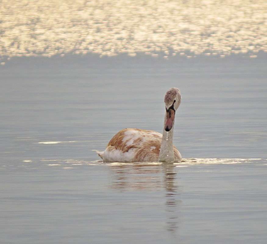 ������� � ������ ����� �����  �� PhotoGeek.ru #�������� ��� #����� ��� ��� ���������