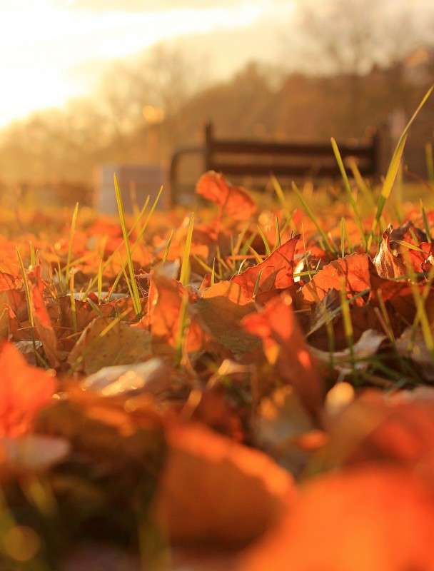 ... ����� �����  �� PhotoGeek.ru #������ ��� �������