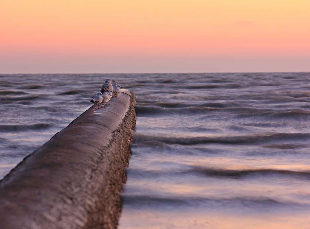 ... ����� �����  �� PhotoGeek.ru #������ ��� �������