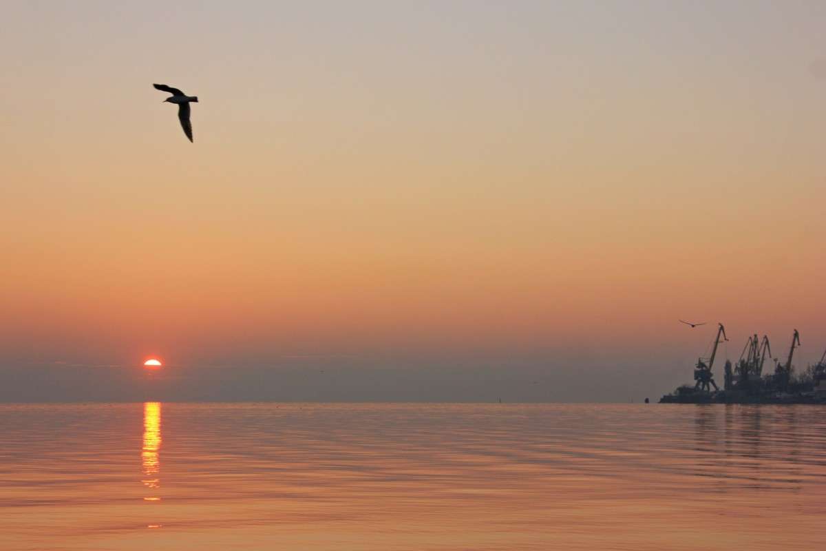 ... ����� �����  �� PhotoGeek.ru #������ ��� �������