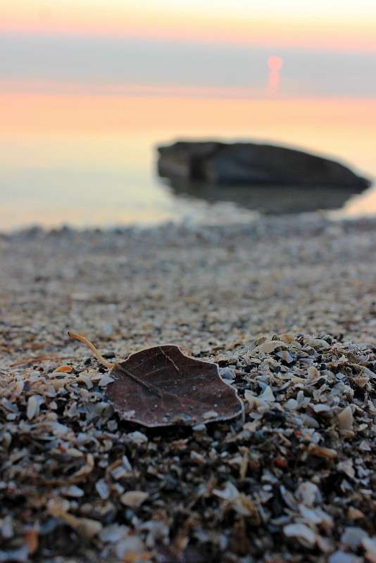 ... ����� �����  �� PhotoGeek.ru #������ ��� �������