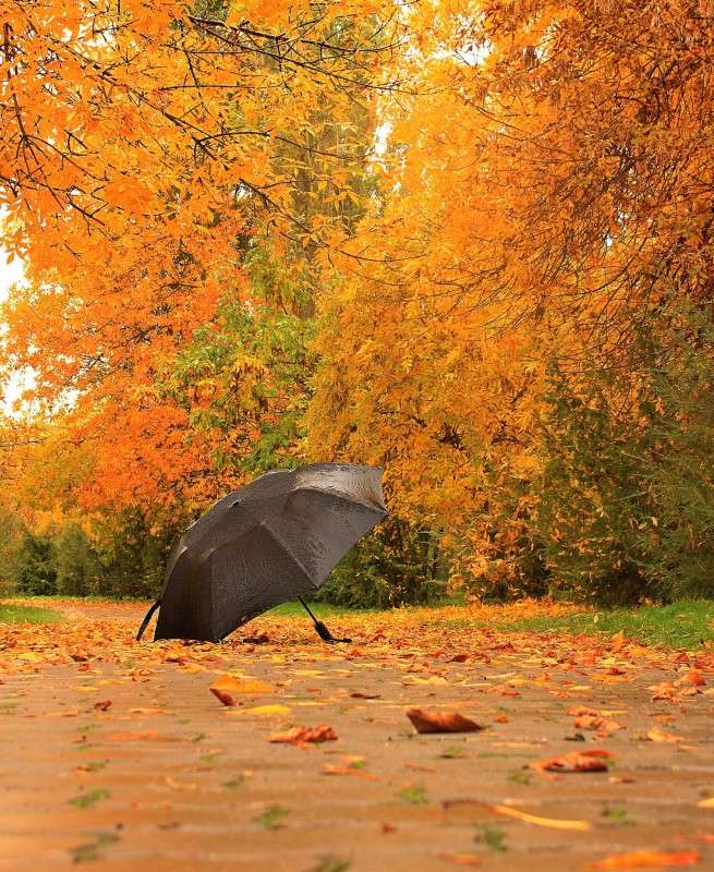 ... ����� �����  �� PhotoGeek.ru #������ ��� �������