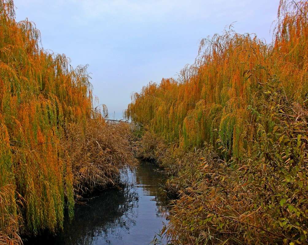 �������� ����� 2 ����� �����  �� PhotoGeek.ru #������ ��� �������