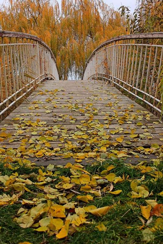 �������� ����� ����� �����  �� PhotoGeek.ru #������ ��� �������