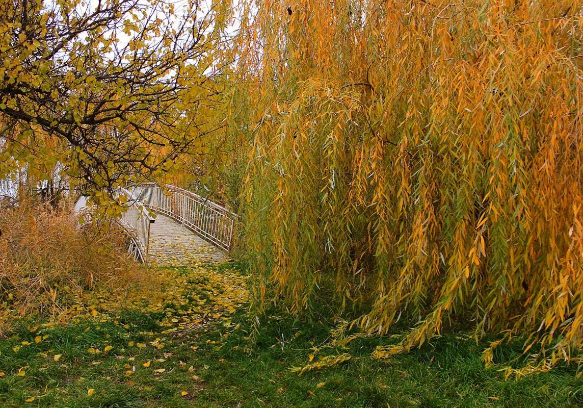 �������� ����� 3 ����� �����  �� PhotoGeek.ru #������ ��� �������