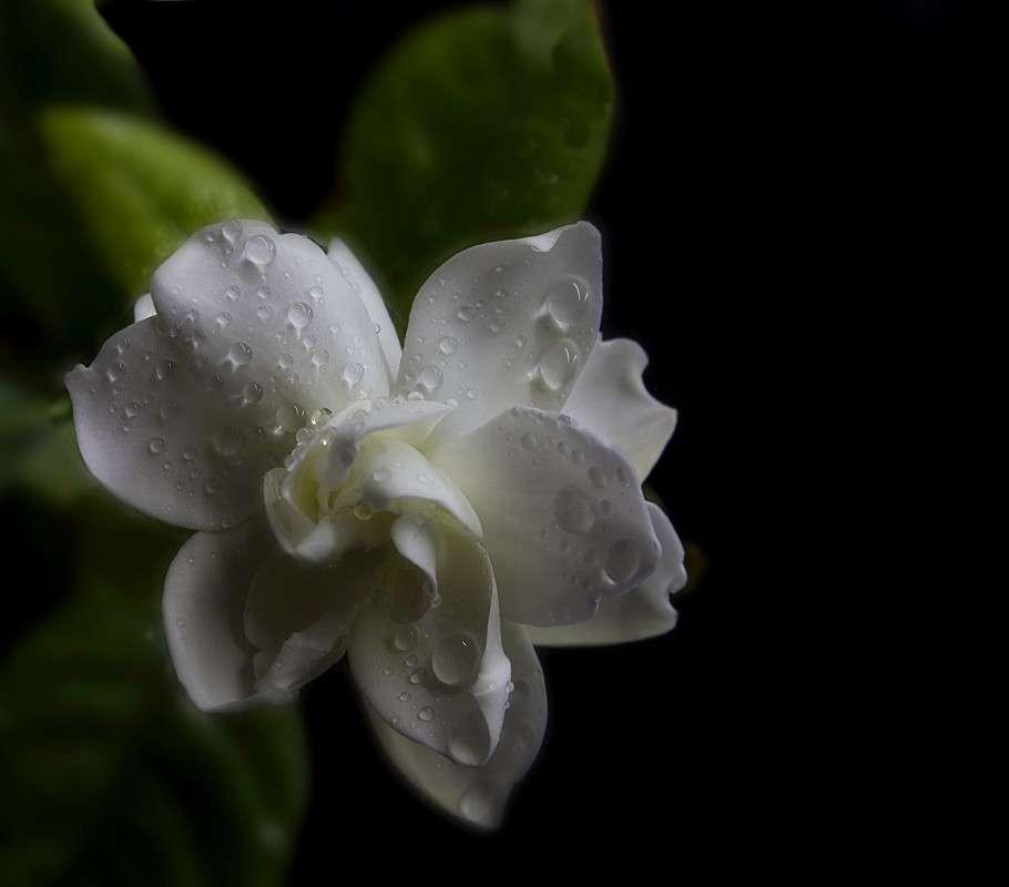 � � ������� ������ �����) ����� �����  �� PhotoGeek.ru #������ ��� �������