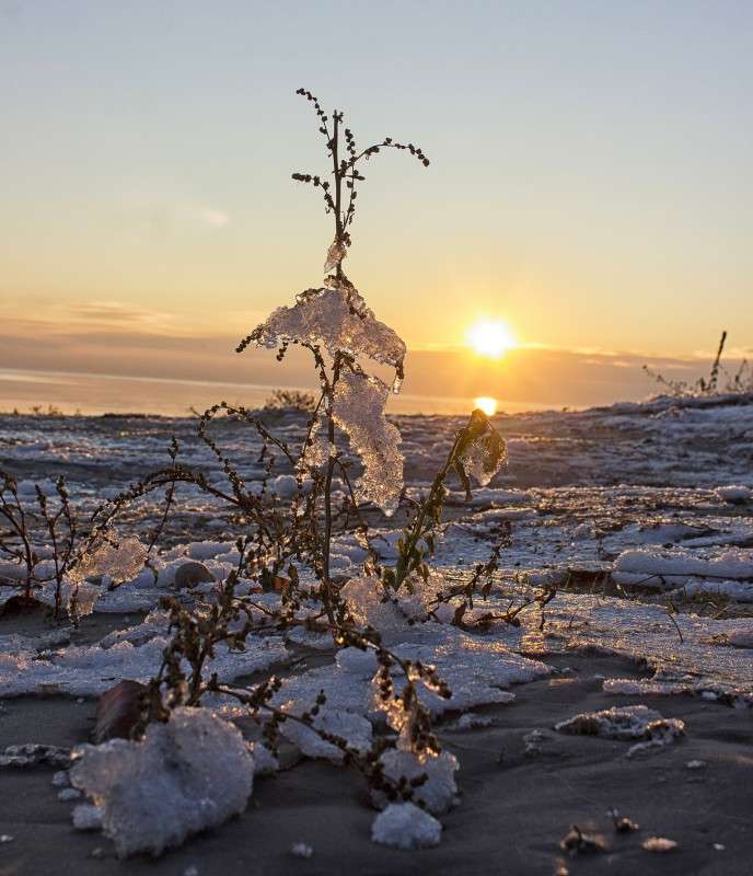 ... ����� �����  �� PhotoGeek.ru #������ ��� �������