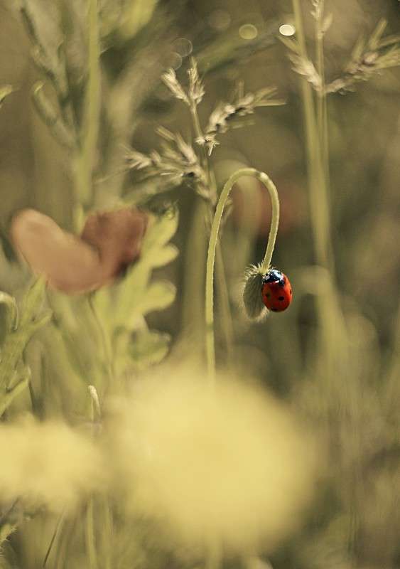 ... ����� �����  �� PhotoGeek.ru #������ ��� �������