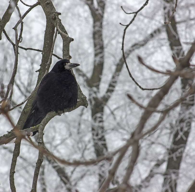 ... ����� �����  �� PhotoGeek.ru #�������� ��� #������ ��� ������� #����� ��� ��� ���������