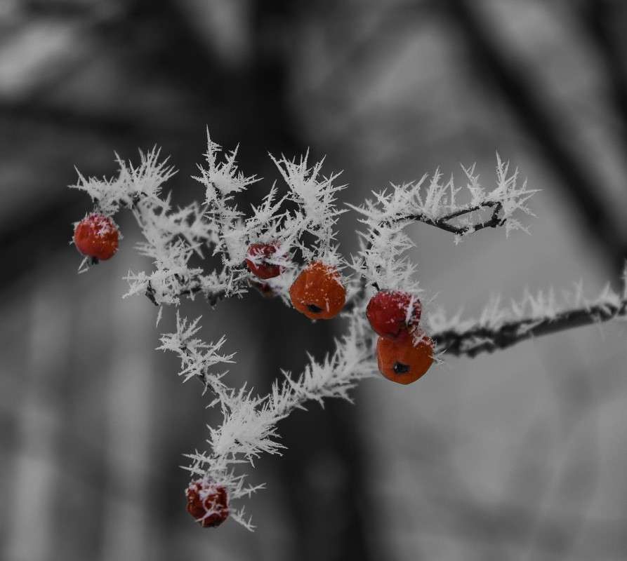 ... ����� �����  �� PhotoGeek.ru #������ ��� �������