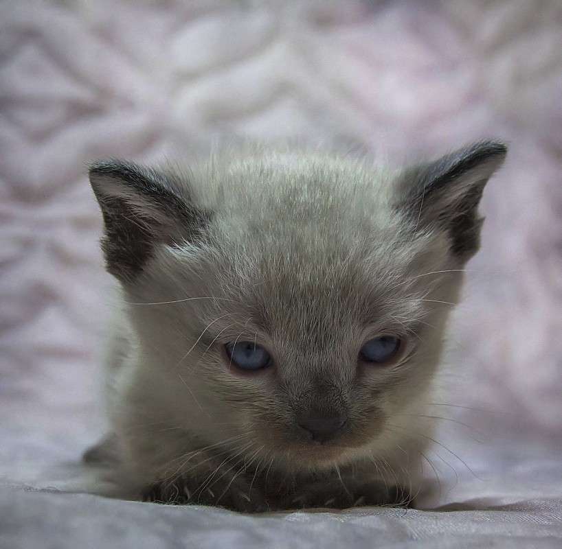 �� ����� ���)) ����� �����  �� PhotoGeek.ru #�������� ���