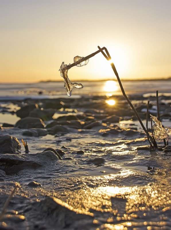 �������� ������ ����� �����  �� PhotoGeek.ru #������ ��� �������