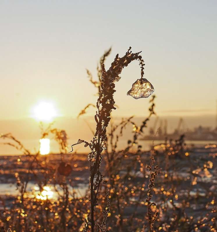 ������� ����� �����  �� PhotoGeek.ru #������ ��� �������