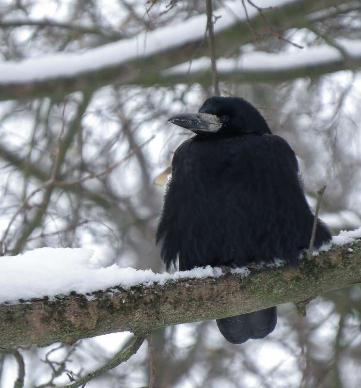 ���� ������ �� �������)) ����� �����  �� PhotoGeek.ru #�������� ��� #����� ��� ��� ���������