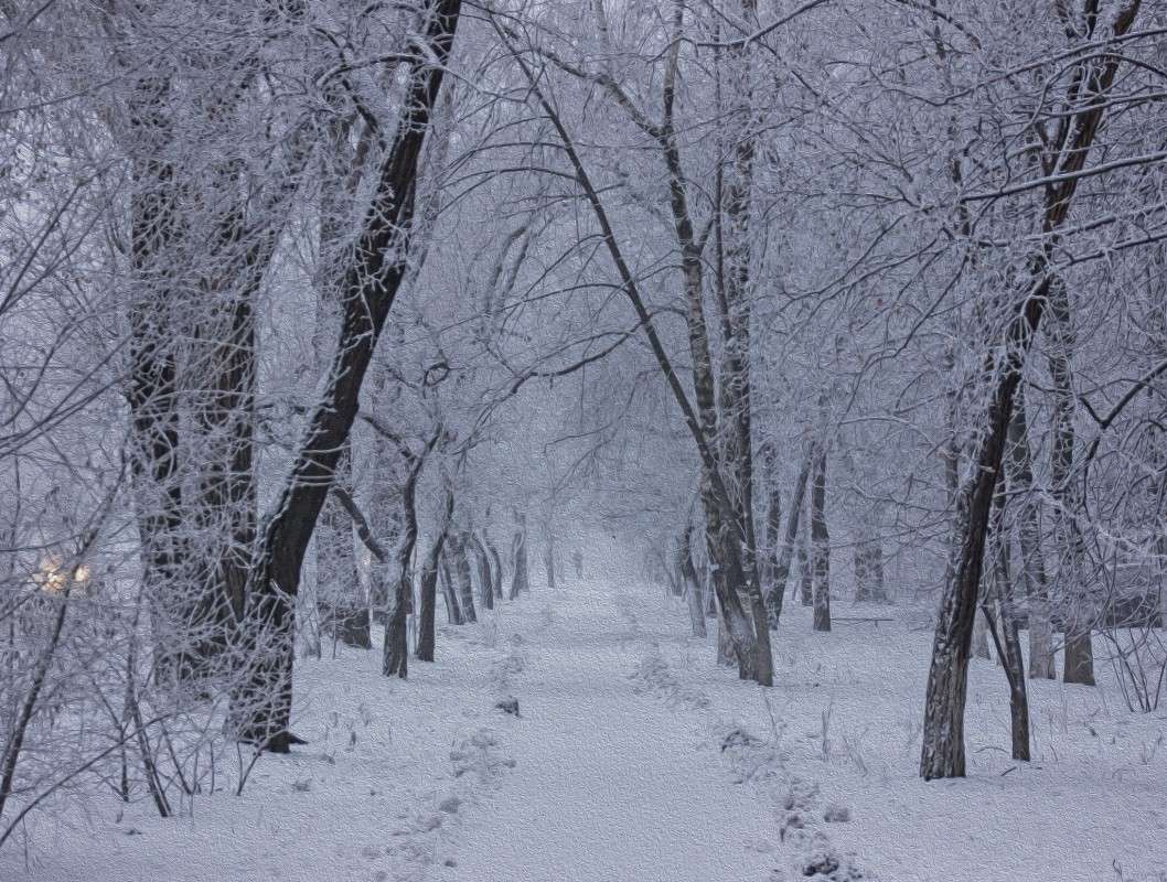 ... ����� �����  �� PhotoGeek.ru #������ ��� �������