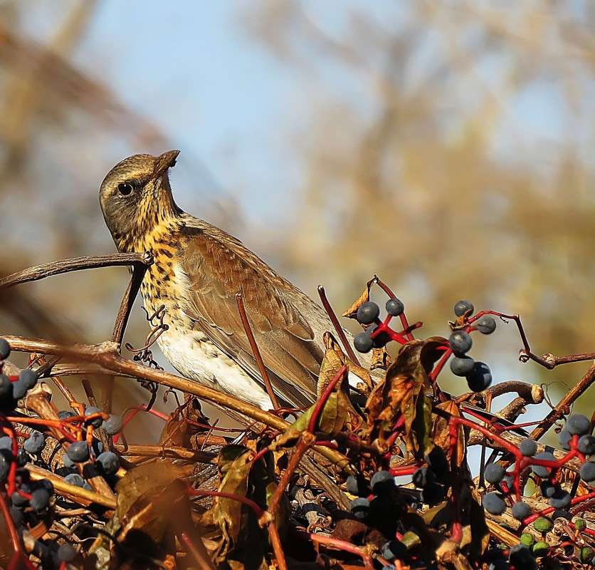 ����� ����� �����  �� PhotoGeek.ru #�������� ��� #����� ��� ��� ���������