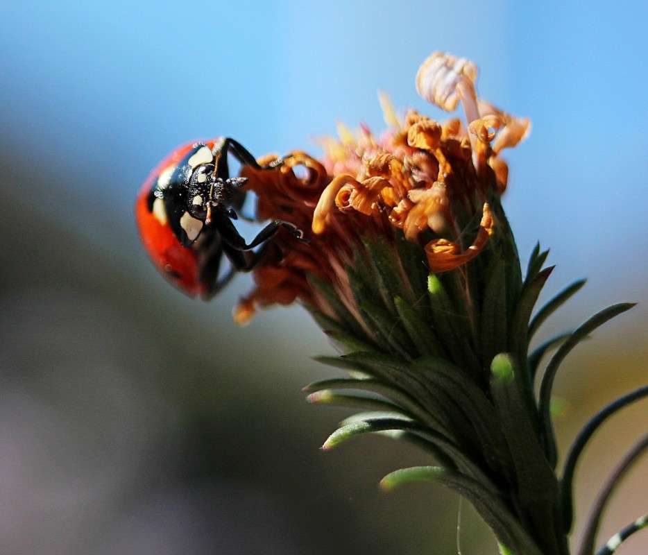 ... ����� �����  �� PhotoGeek.ru #�������� ���