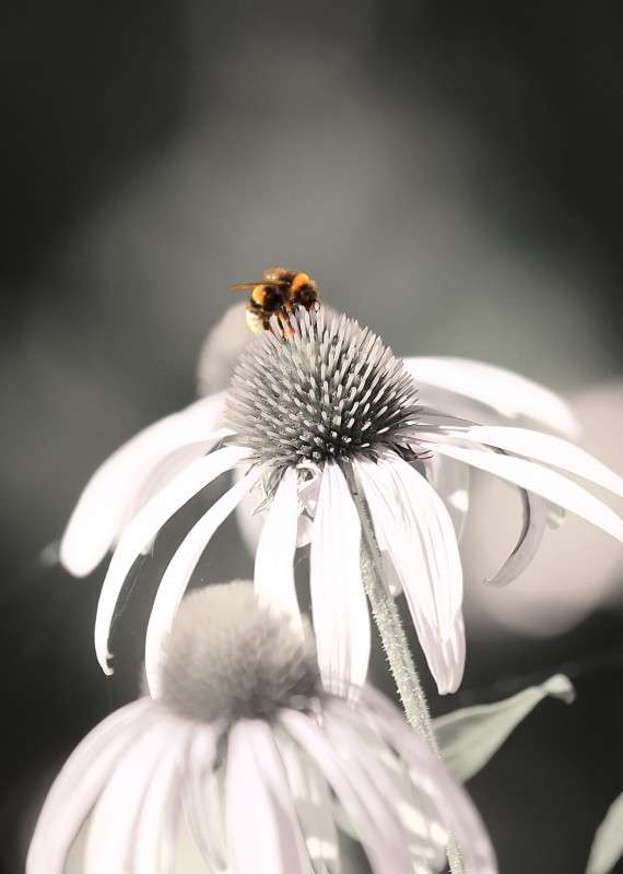 ... ����� �����  �� PhotoGeek.ru #������ ��� �������