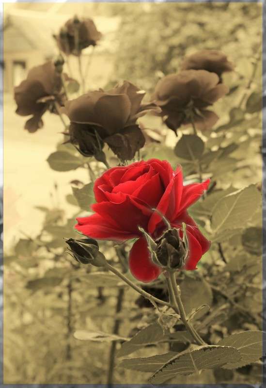 ... ����� �����  �� PhotoGeek.ru #������ ��� �������