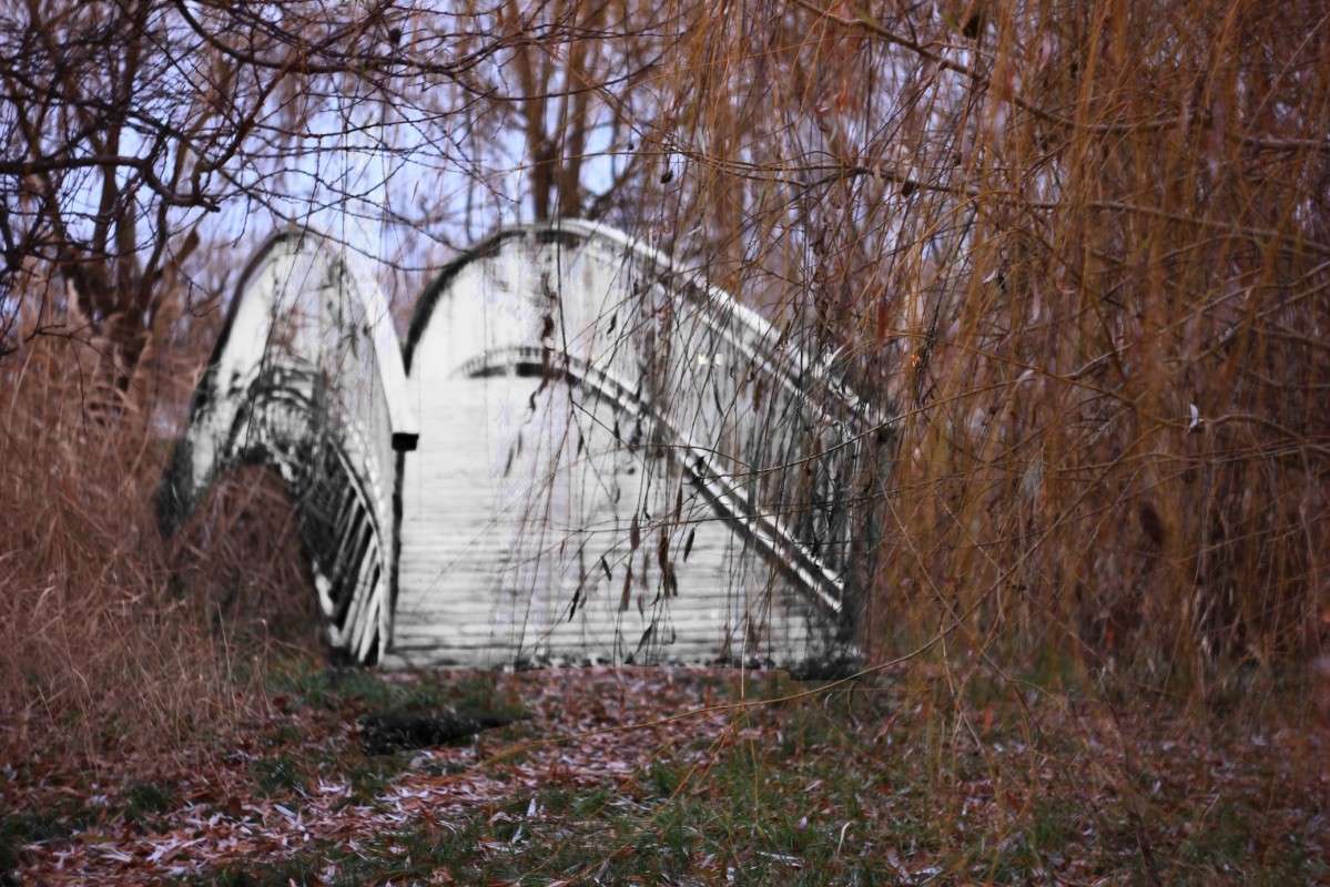 ... ����� �����  �� PhotoGeek.ru #������ ��� �������