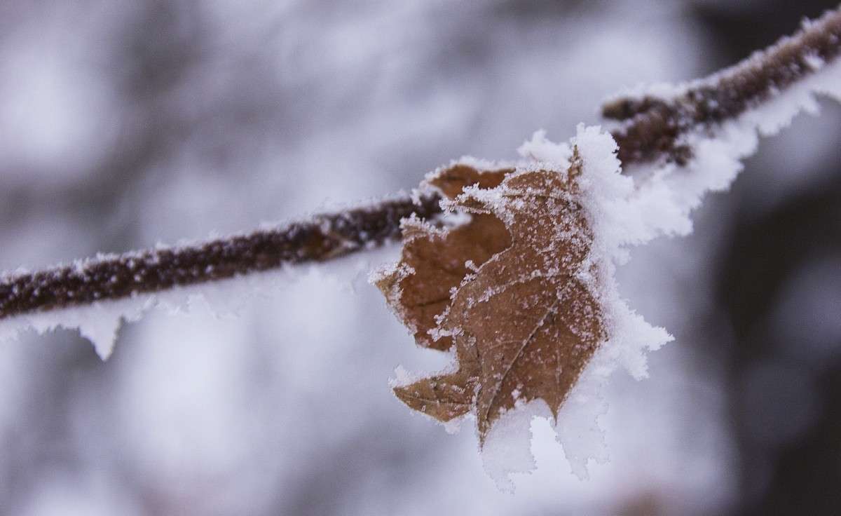 � ����� ���� ����� �����  �� PhotoGeek.ru #������ ��� �������