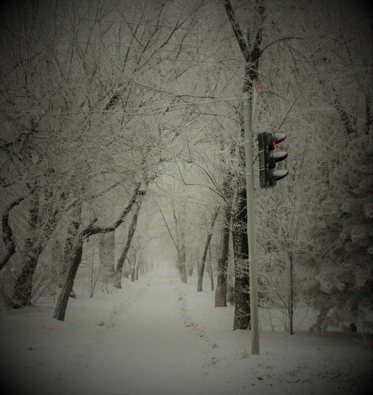 �������� ��������� ����� �����  �� PhotoGeek.ru #������ ��� �������