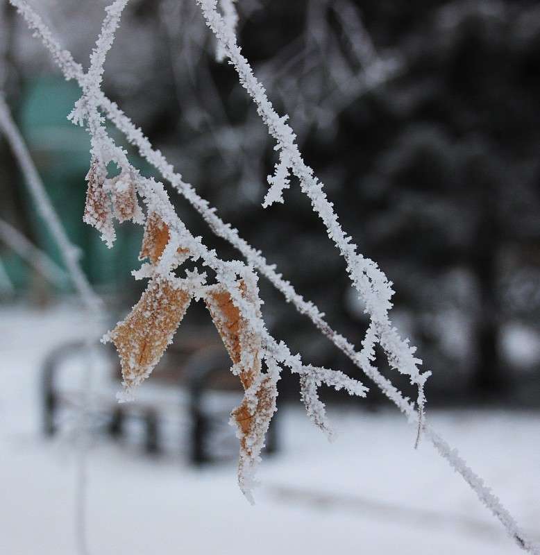 � ������ ����� �����  �� PhotoGeek.ru #������ ��� �������