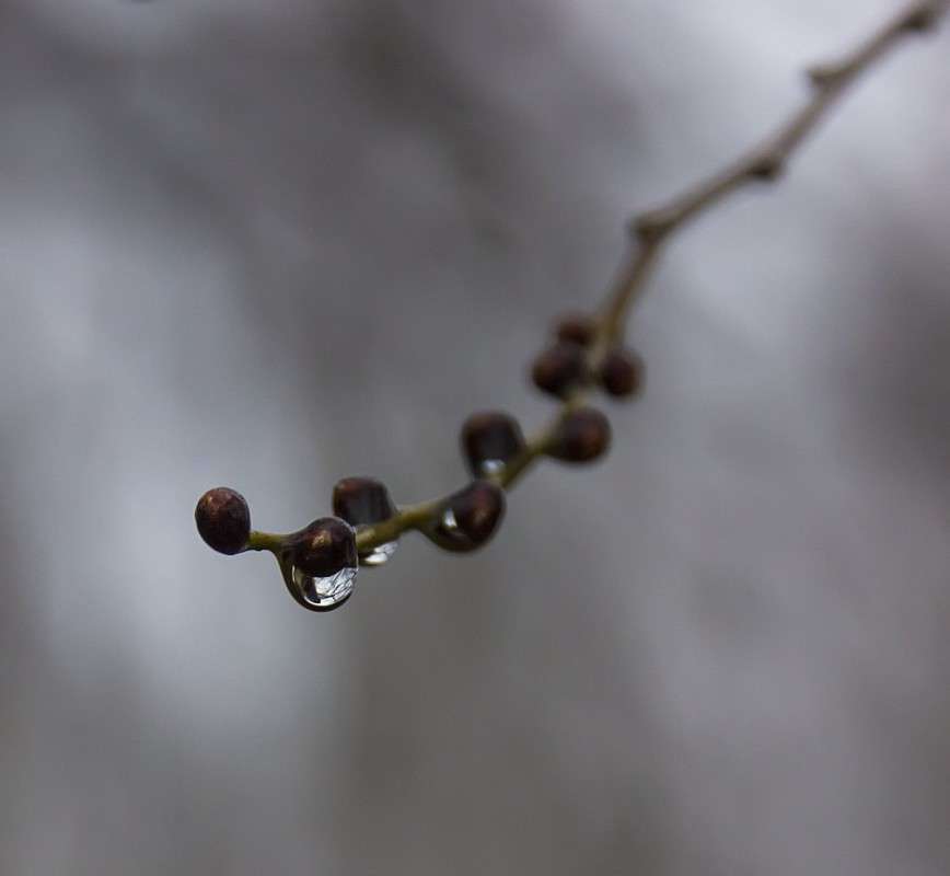 ����� ����� ����� �����  �� PhotoGeek.ru #������ ��� �������