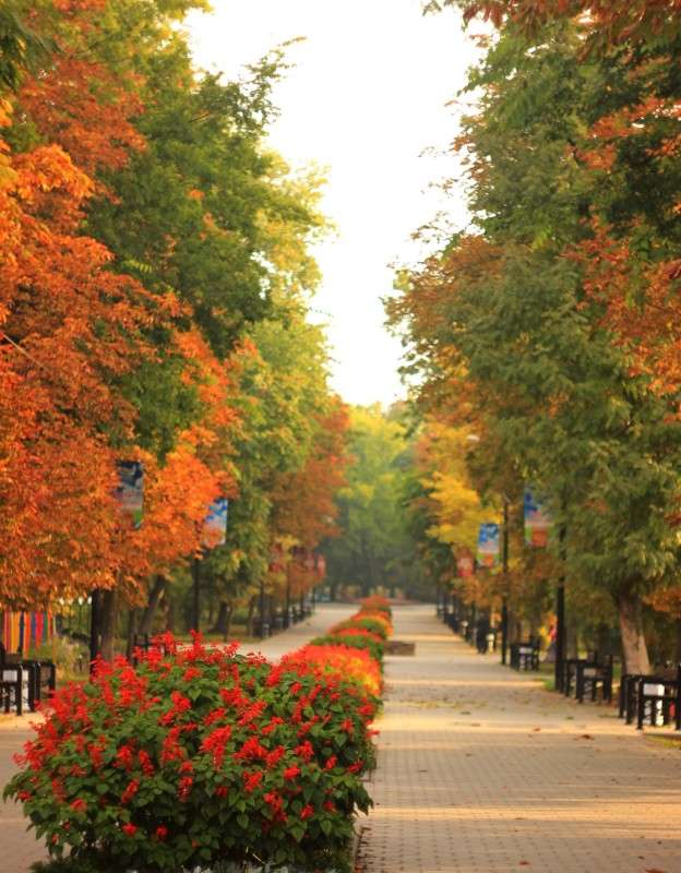 ���� �� ���� �����)) ����� �����  �� PhotoGeek.ru #������ ��� �������