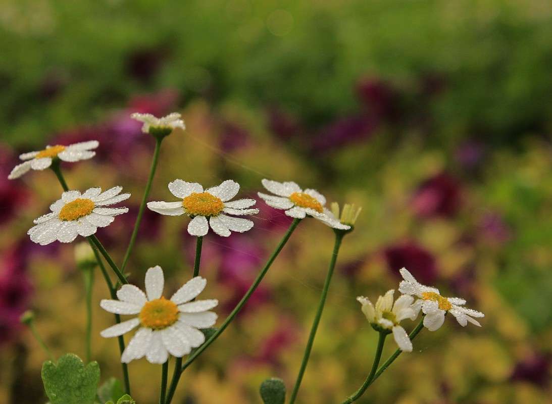 ��������� ������� 16 ���� ����� �����  �� PhotoGeek.ru #������ ��� �������