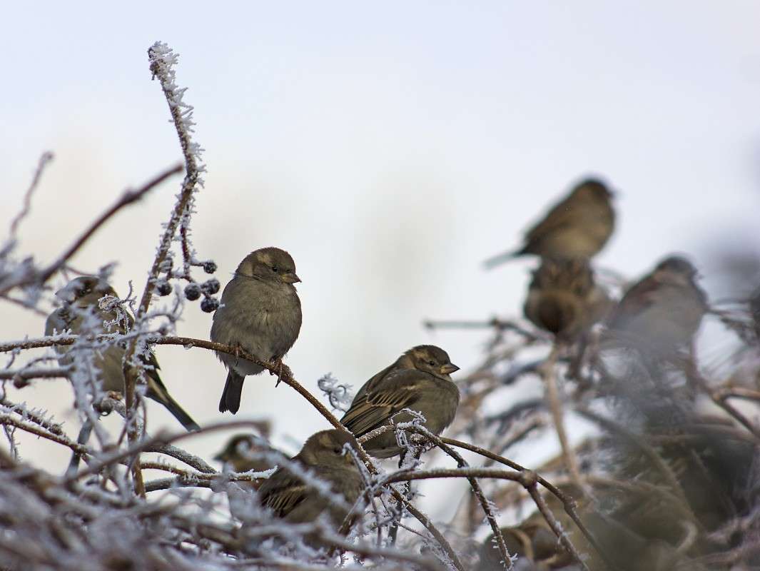 �������... ����� �����  �� PhotoGeek.ru #�������� ���