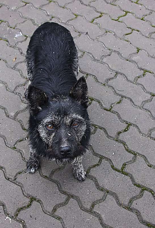 ... ����� �����  �� PhotoGeek.ru #�������� ���